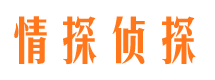 蓝田市侦探公司